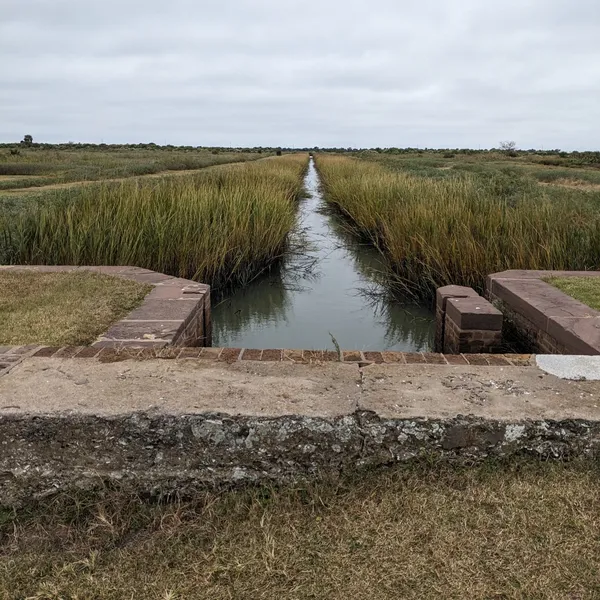 Long watery trench