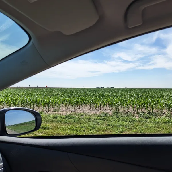 View out car window north of Carhenge.