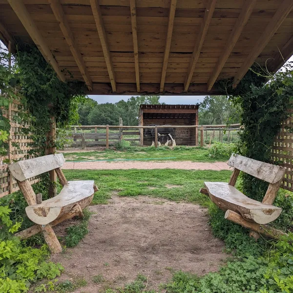 Benches in a shelter