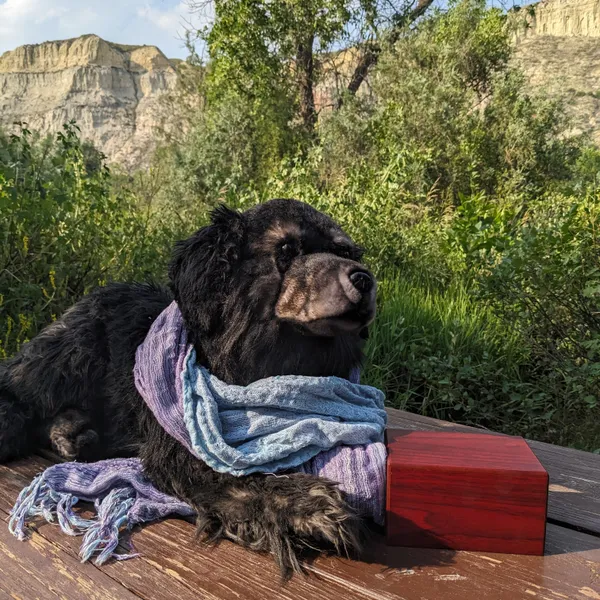 Cuddle clone ellie on a picnic table