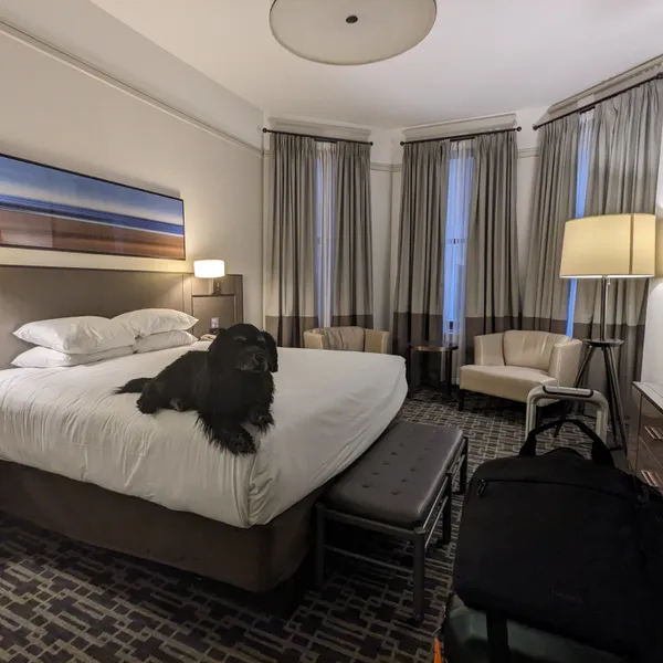 Bedroom with alcove and three large windows