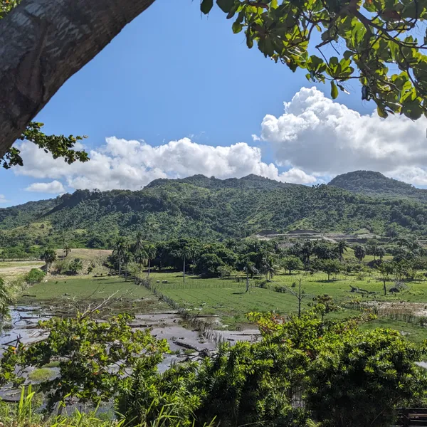 Mountains in distance