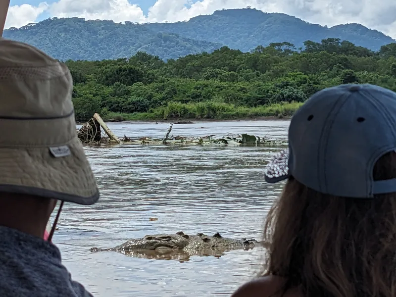 Crocodile between two people