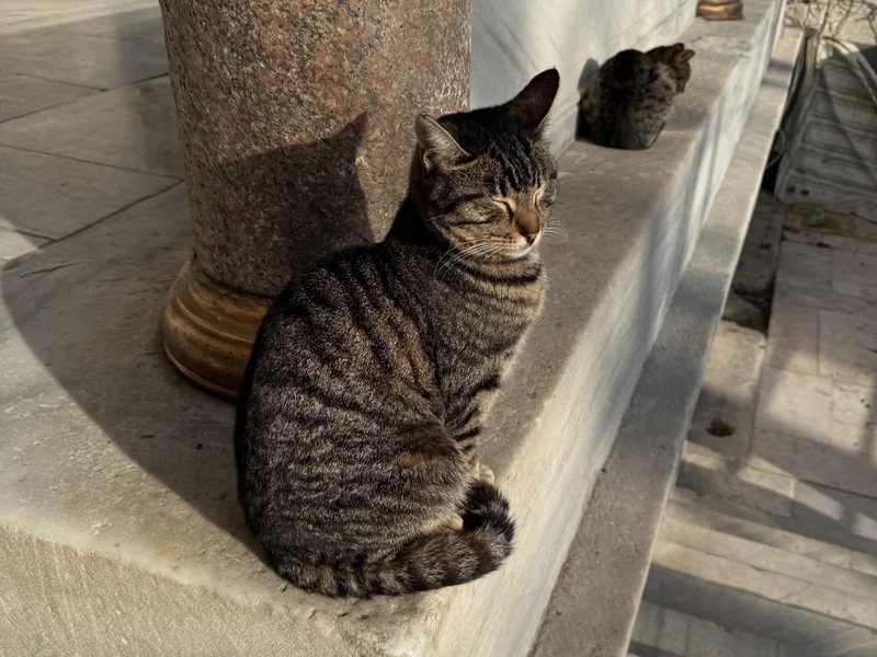 Blue Mosque