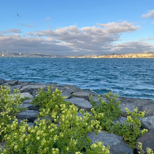 Waterfront