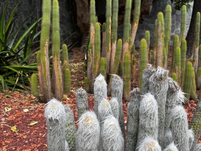 Botanical Gardens