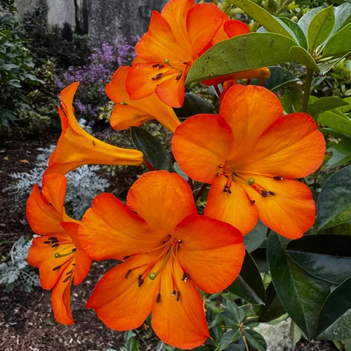 Botanical Gardens