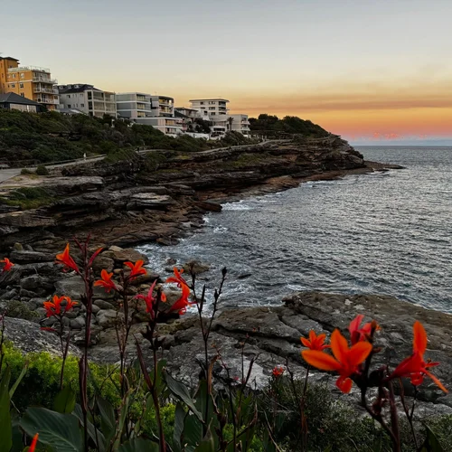 Bondi to Coogee Walk