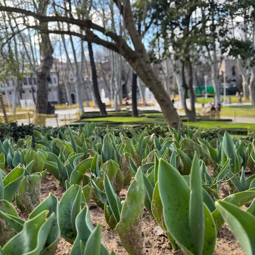 Gülhane Park