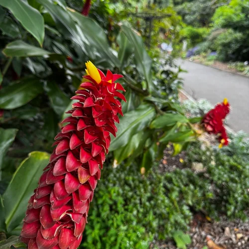 Botanical Gardens