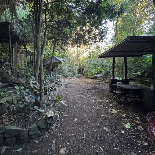 Wendy Whiteley's Secret Garden