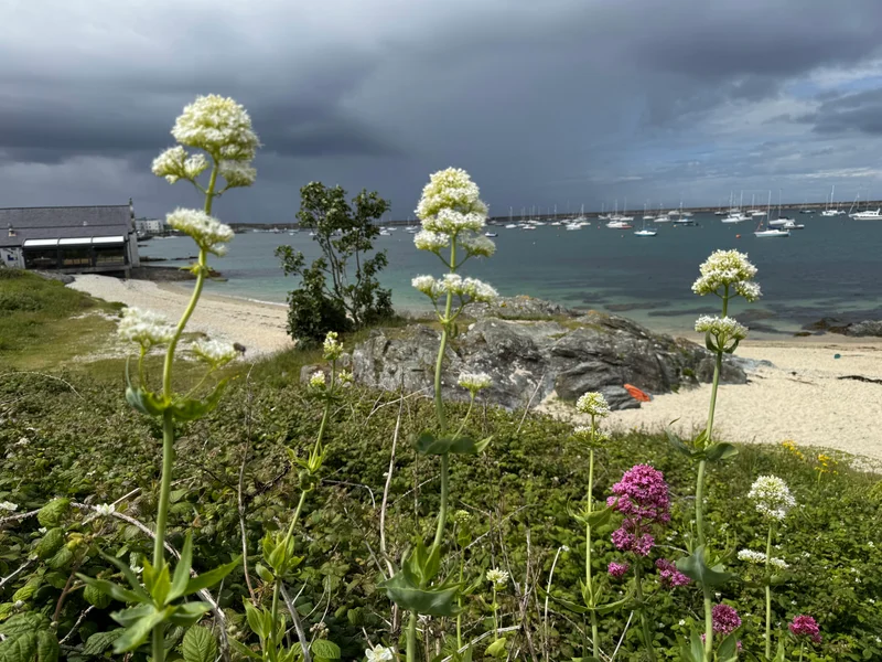 Holyhead Waterfront