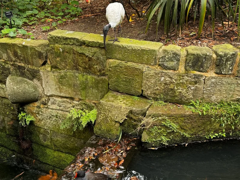 Botanical Gardens
