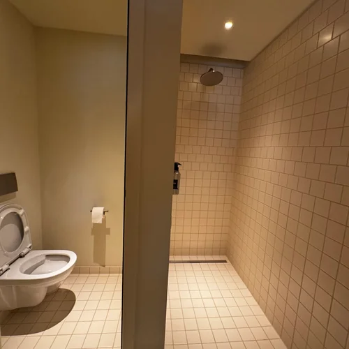 The Standard Brussels