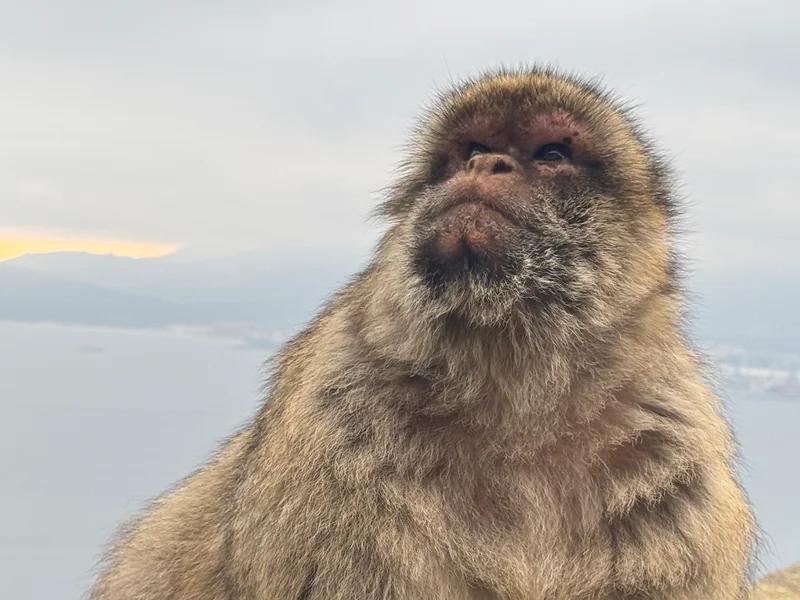 Gibraltar