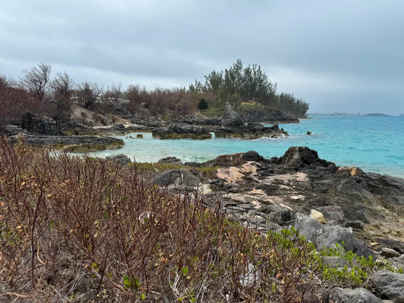 Bermuda Beach
