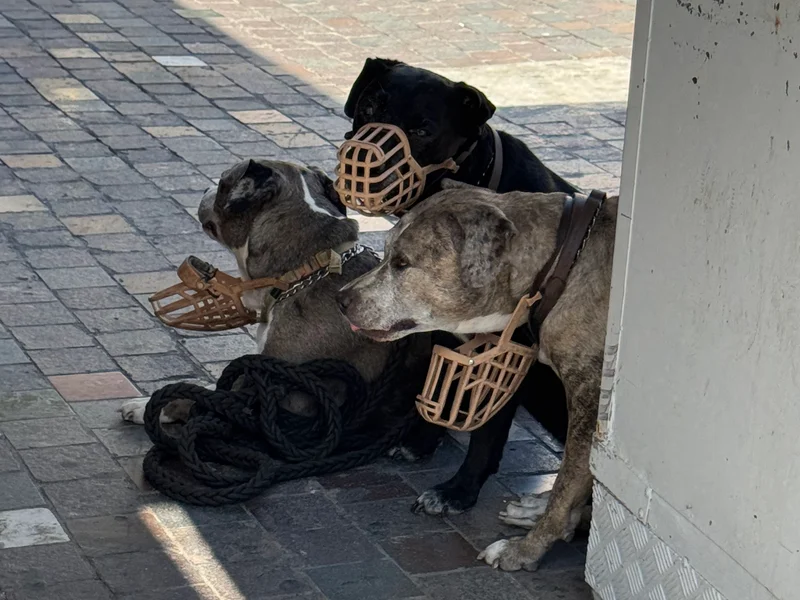 Kerberos