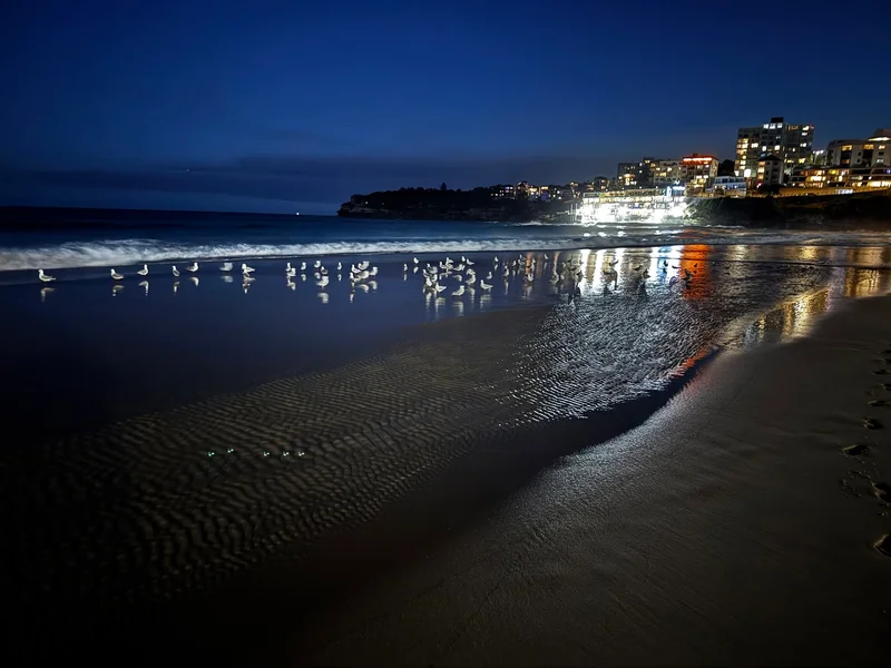 Bondi to Coogee Walk